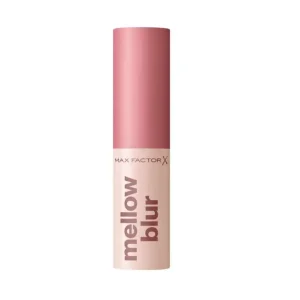 Aito Max Factor 2000 Calorie Mellow Blur 10 Mochi Mauve